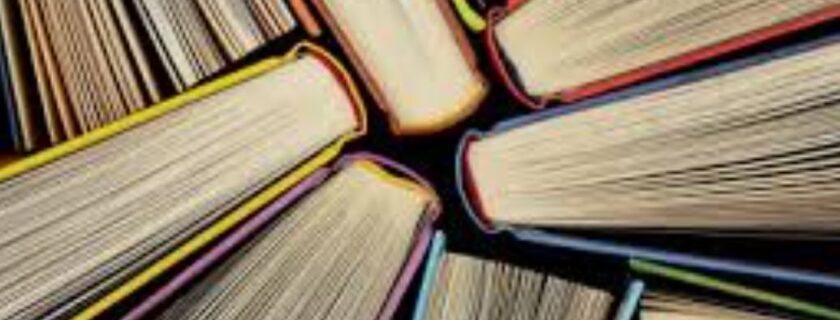 2024 ACSPN Conference Book of Abstracts